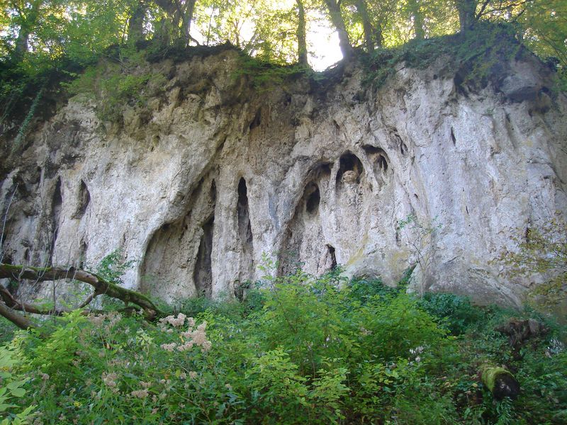 PAPUK